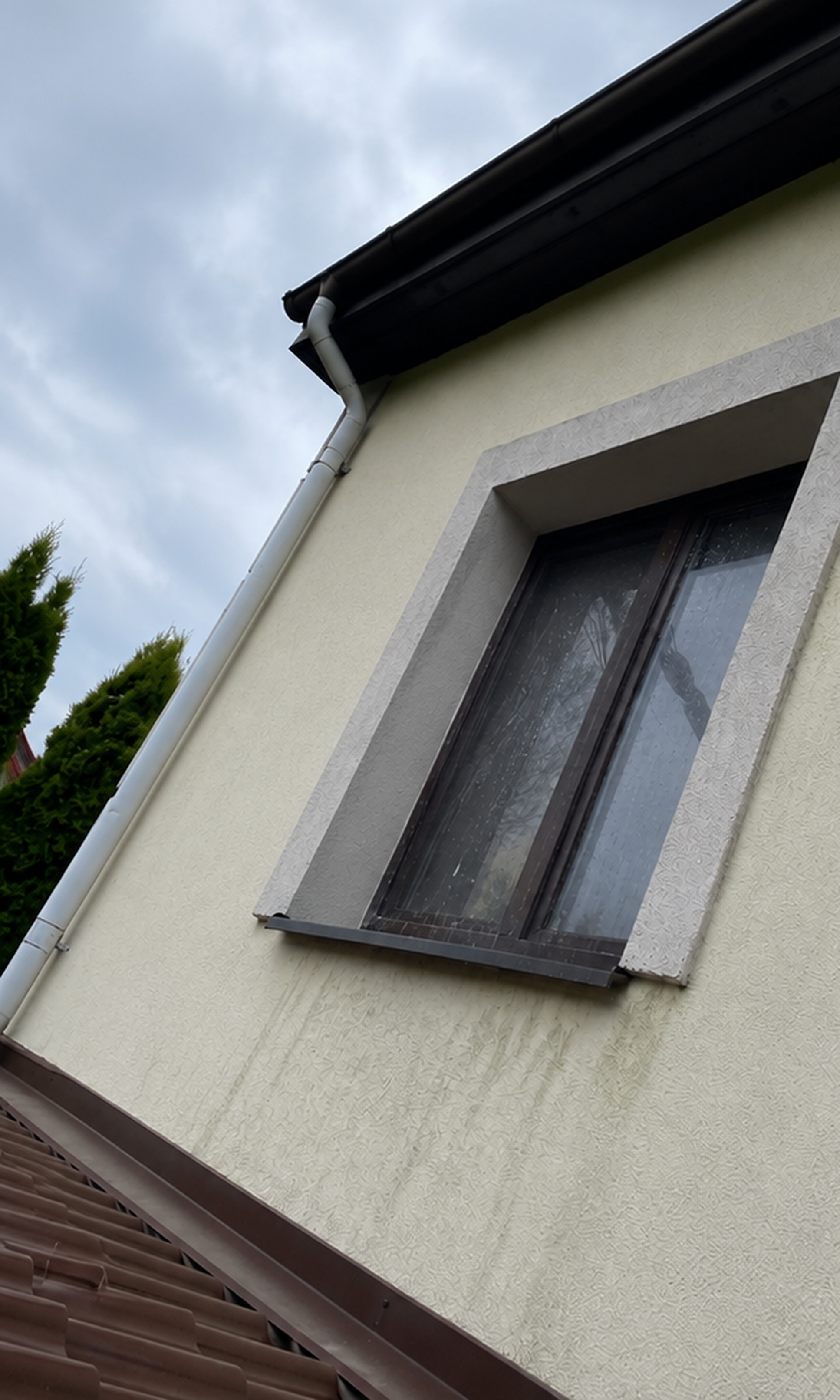 Elewacja przed realizacją Cleanbrukmaster
